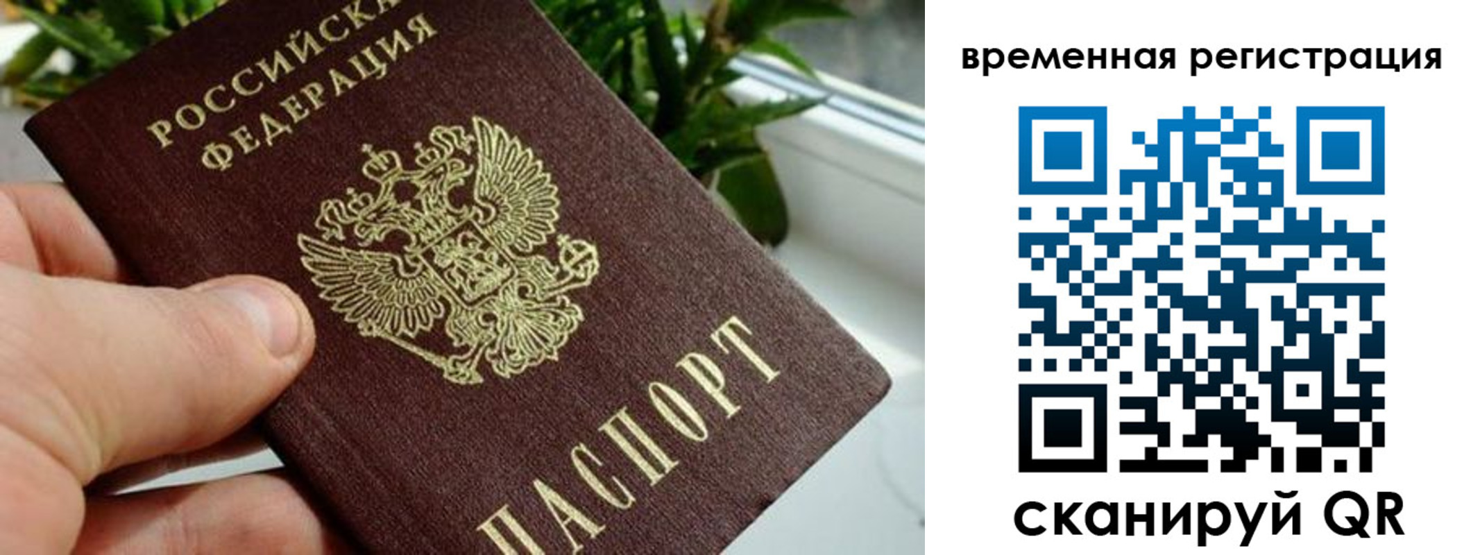 прописка поиск в Красном Куте